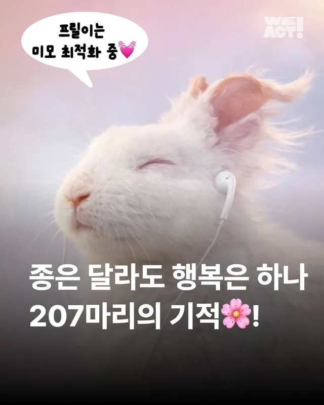 종의 경계를 넘어 시작된 기적 같은 ‘두 번째 삶‘