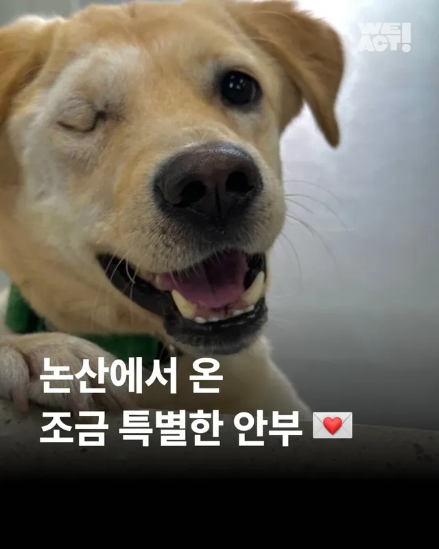 논산에서 온 조금 특별한 안부