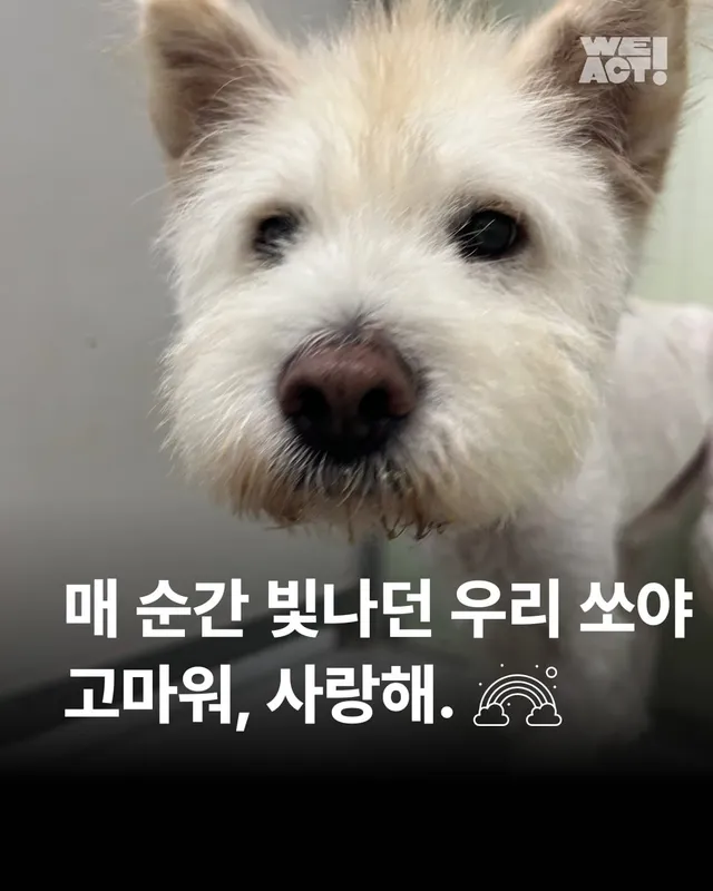 매 순간 빛났던 우리 쏘야 고마워 사랑해