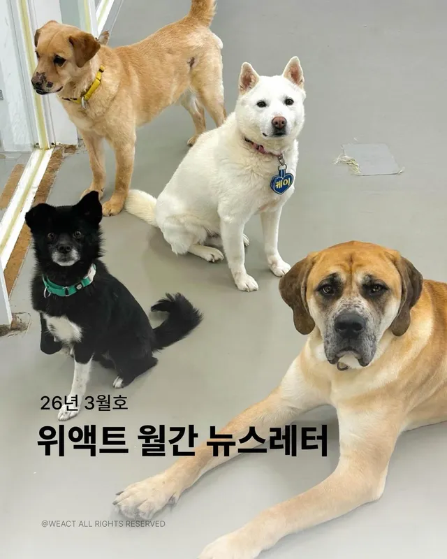 월간 위액트 3월호