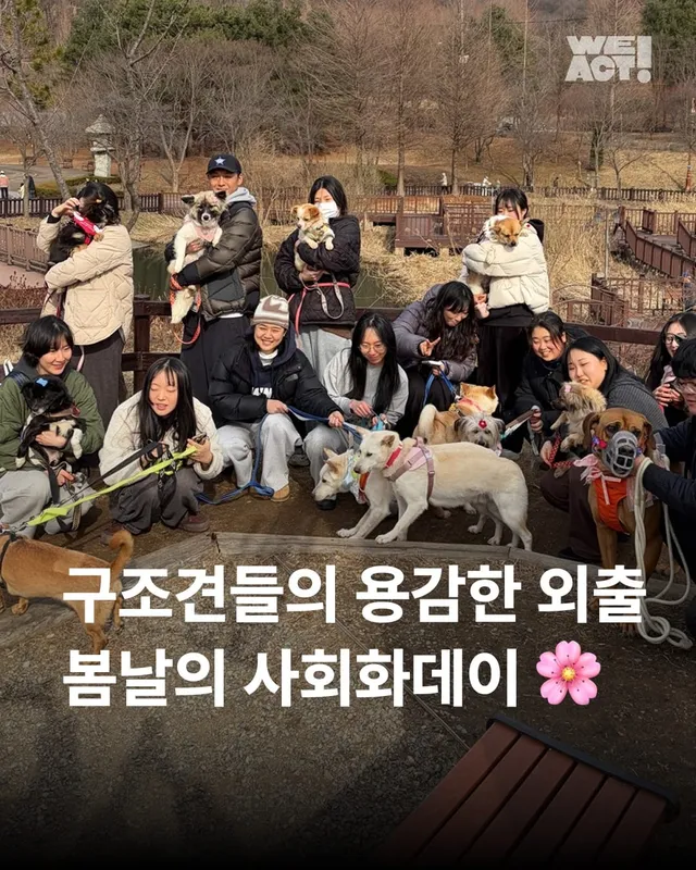 구조견들의 용감한 외출 사회화데이