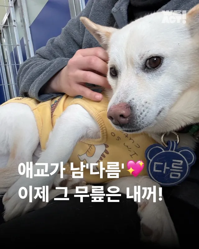 애교가 남다름 #위액트다름