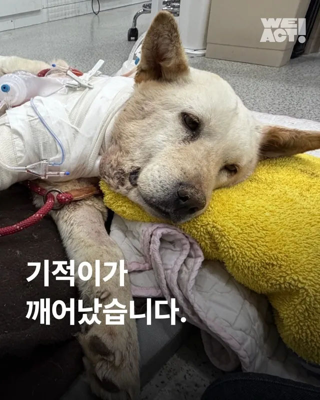 기적이가 깨어났습니다.
