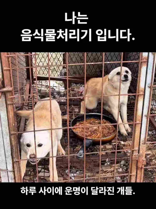 나는 '음식물 처리기'입니다.