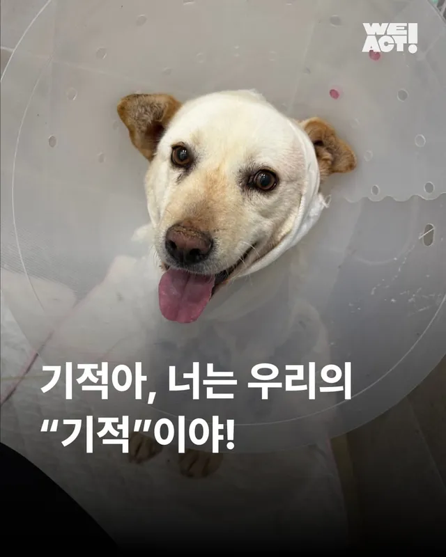 기적아, 너는 우리의 "기적"이야!