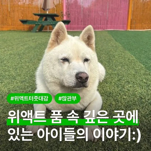 위액트 품속 깊은 곳에 있는 아이들 이야기
