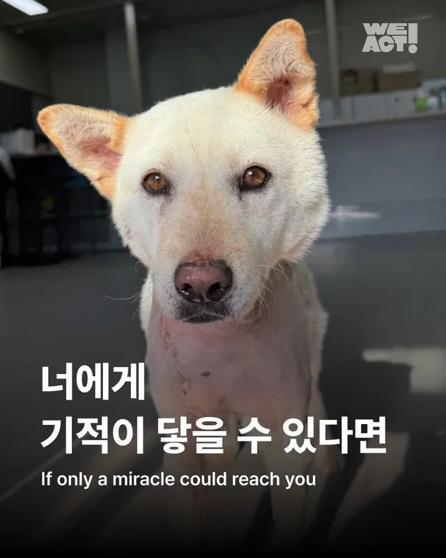 너에게 기적이 닿을 수 있다면