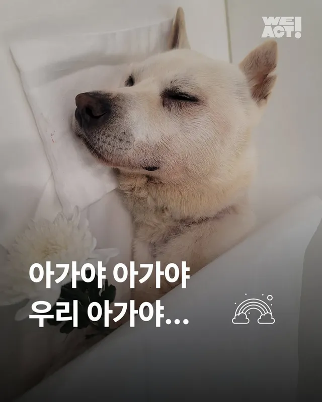 아가야 아가야 우리 아가야