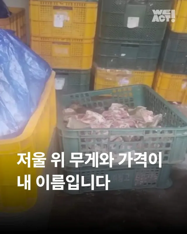 저울 위 무게와 가격이 내 이름입니다.
