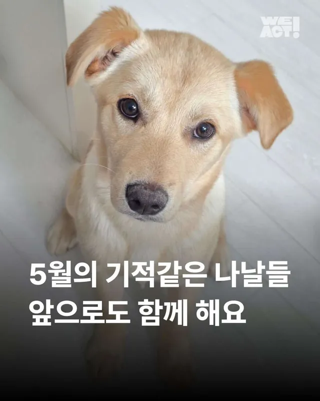 5월의 기적같은 나날