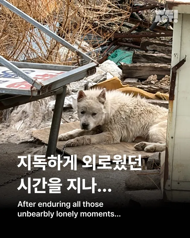 지독하게 외로웠던 시간을 지나