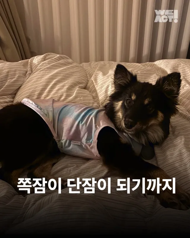 쪽잠이 단잠이 되기까지