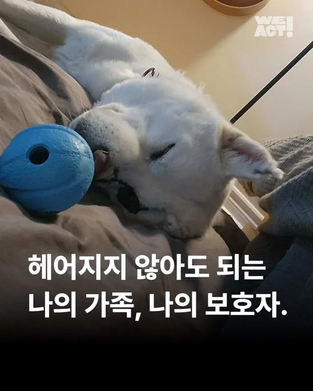 헤어지지 않아도 되는 나의 가족, 나의 보호자.