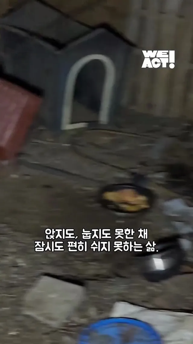 우리는 더이상 개농장 속 개가 아닙니다