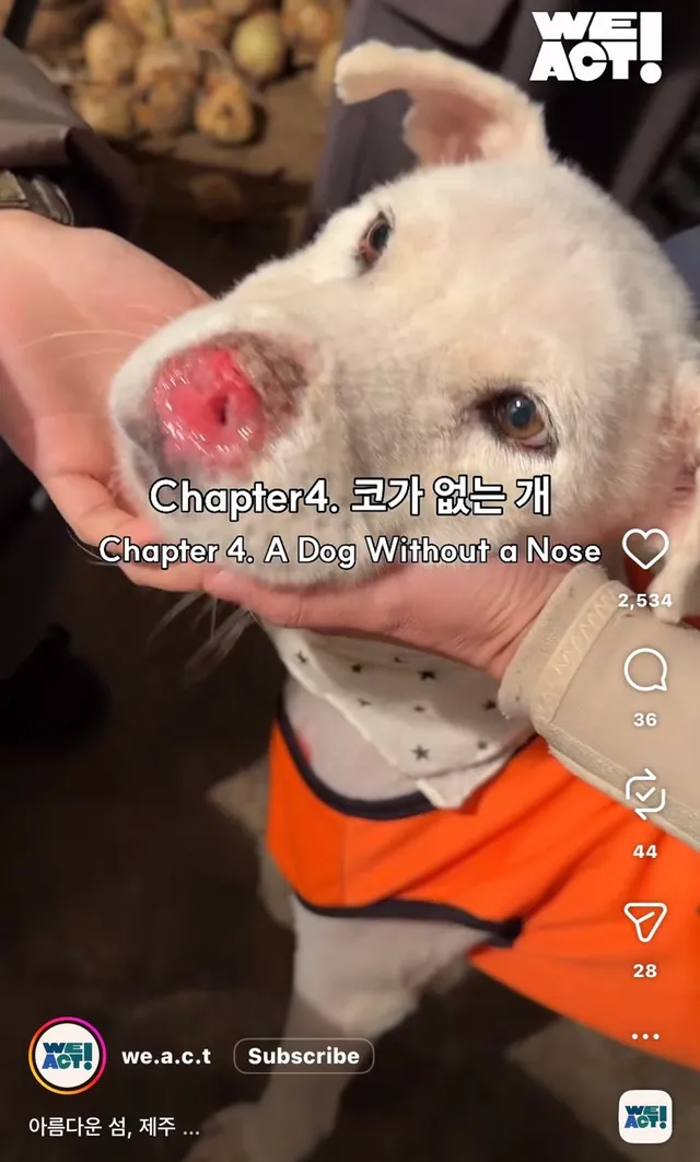 제주 2박3일_2