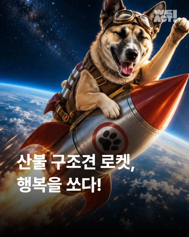 산불구조견 로켓, 행복을 쏘다
