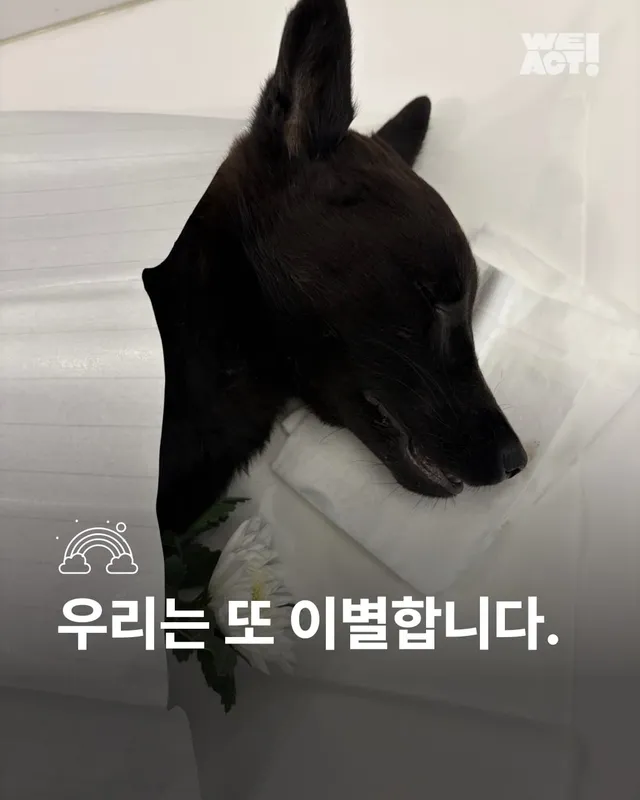 우리는 또 이별합니다