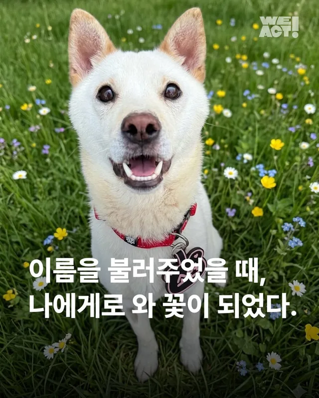 이름을 불러주었을 때 나에게로와 꽃이 되었다