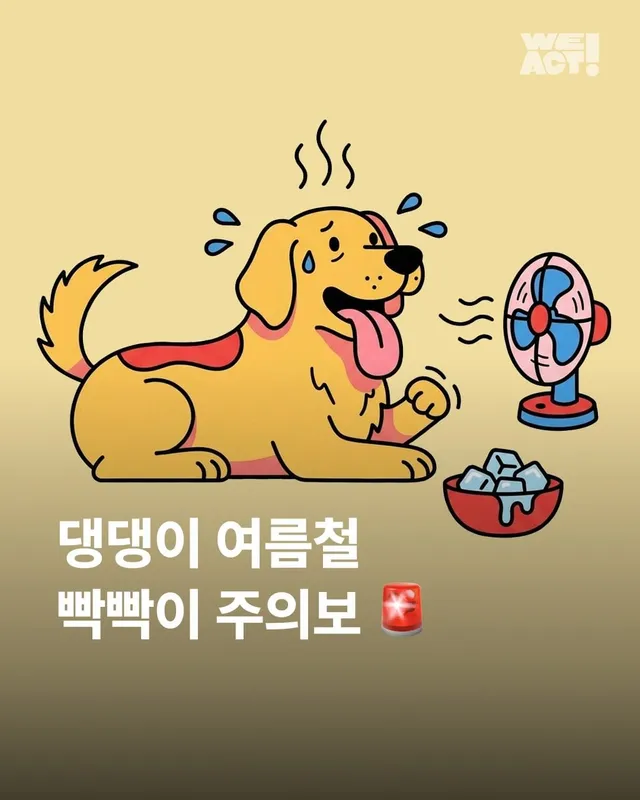 댕댕이 여름철 빡빡이 주의보