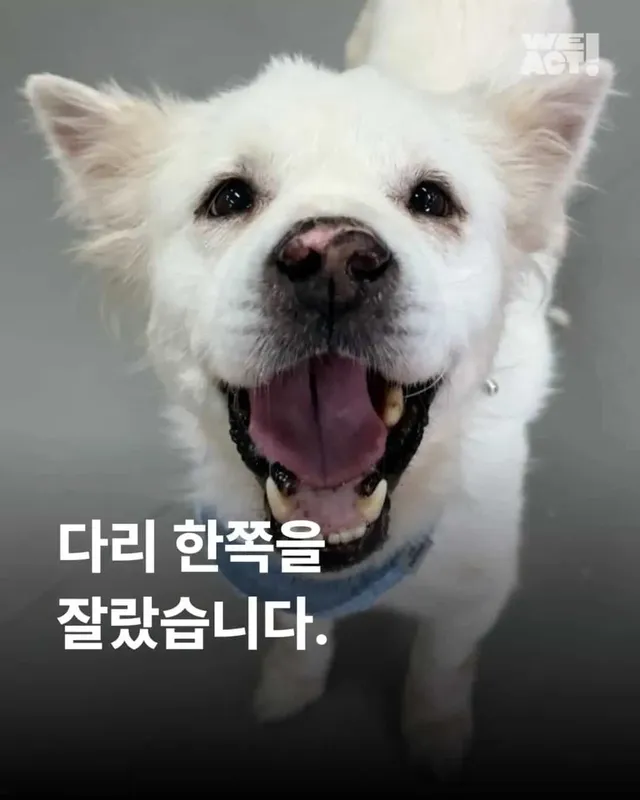 다리 한 쪽을 잃었습니다. 하지만 희망까지 잃지는 않았습니다.