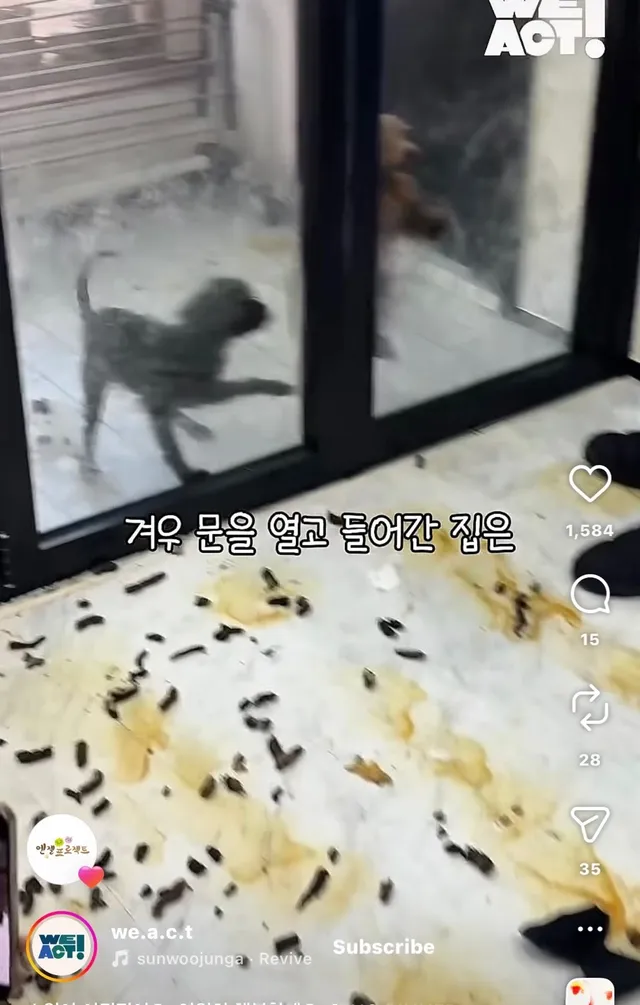 소원이 이뤄졌어요 영원히 행복할게요