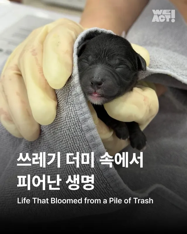 쓰레기 더미 속에서 피어난 생명