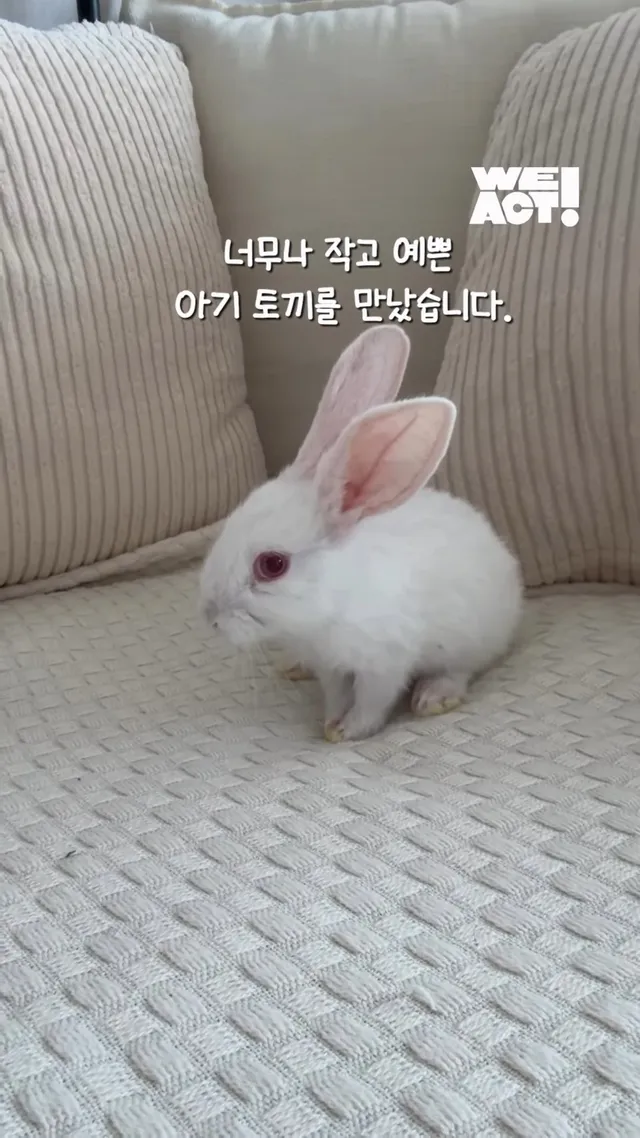 사랑에 빠진 순간