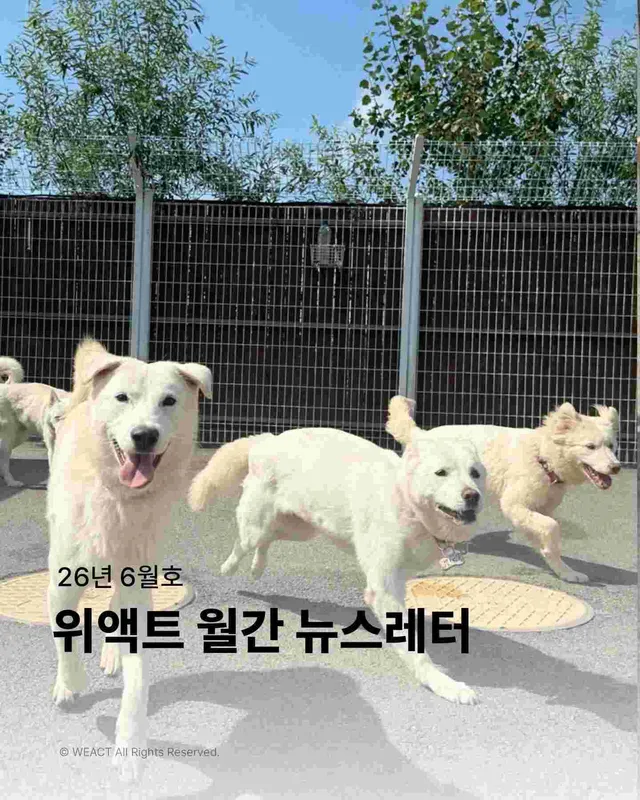 월간위액트 6월호