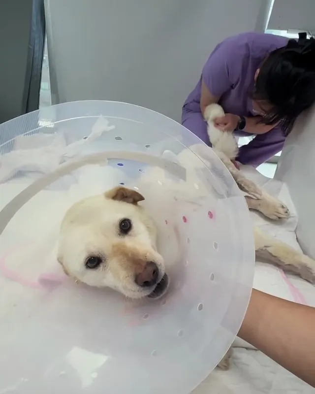 기적아 울지마