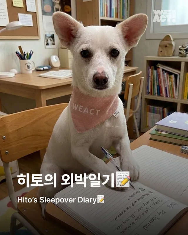 히토의 외박일기