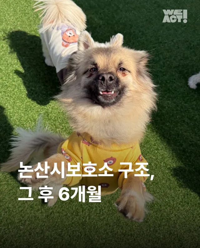 논산시보 구조 6개월 뒤