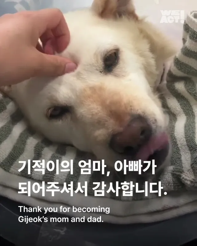 기적이의 엄마아빠가 되어주셔서 감사합니다