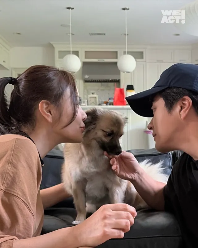 새끼들을 먼저 보내고, 안락사 명단에 오른 개.