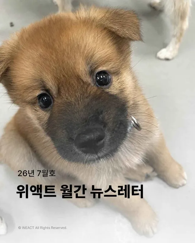 월간 위액트 7월호