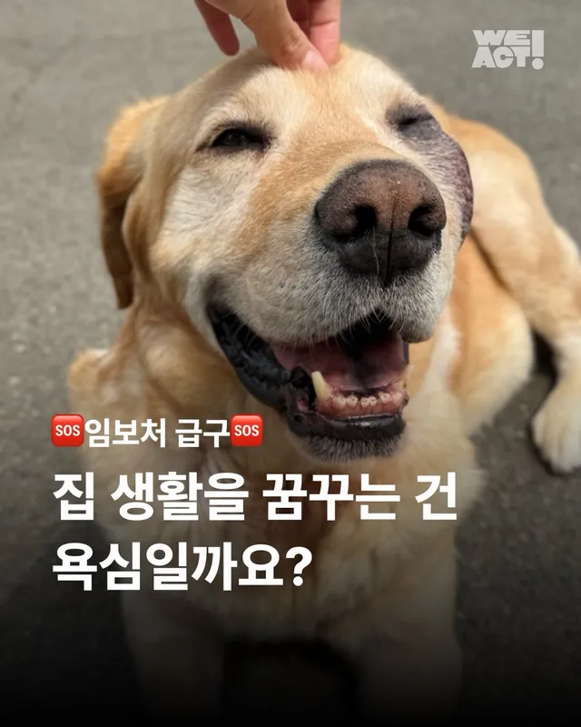 저도 집에서 살아보고싶어요