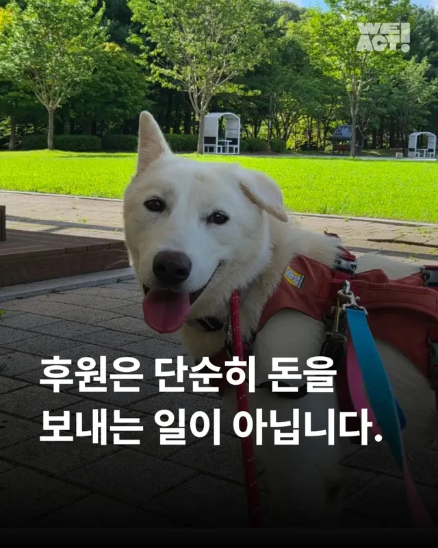후원은 단순히 돈을 보내는 일이 아닙니다.