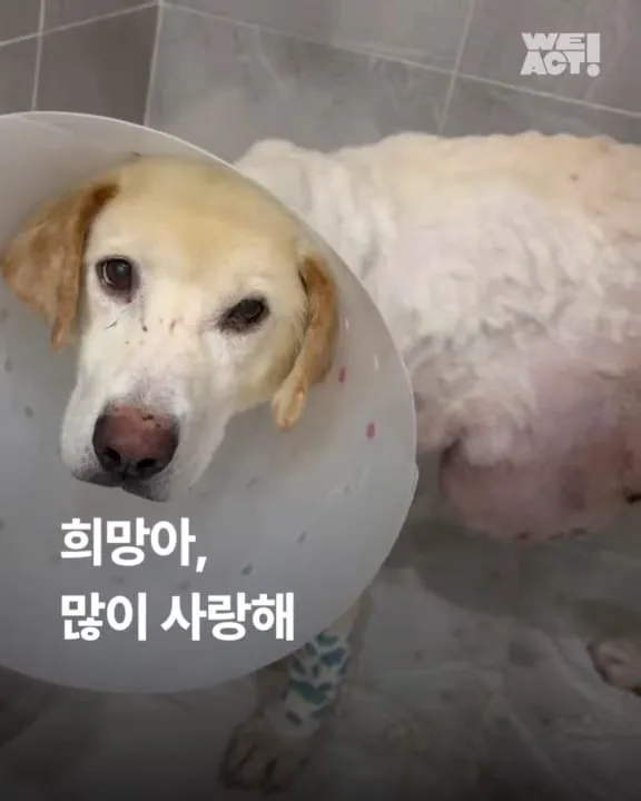 위액트희망CT촬영이 끝났습니다