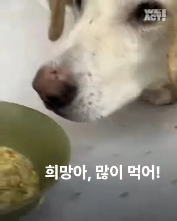 희망아 많이 먹어 그래도 좋아