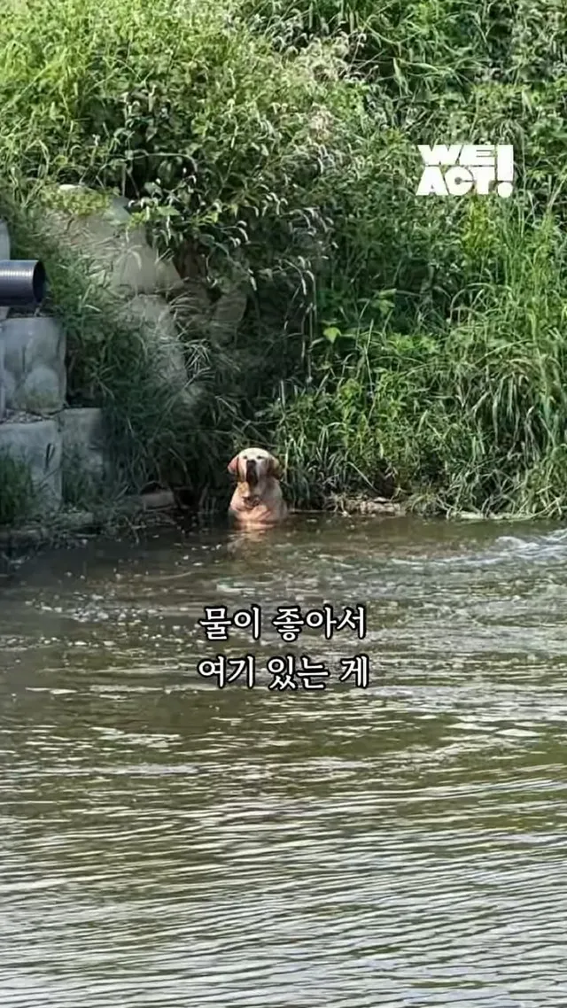물이 좋아서 여기 있는게 아니예요