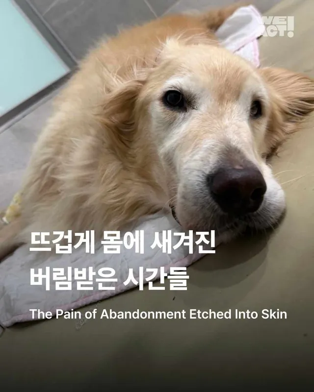 뜨겁게 몸에 새겨진 버림받은 시간들