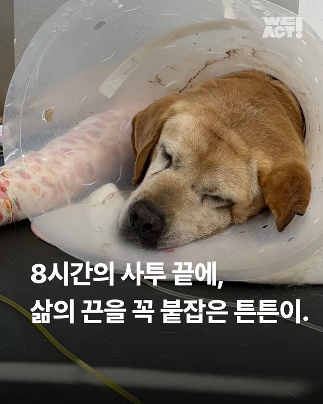 세찬 물살 속에서 온몸으로 8시간을 버텨낸 아이