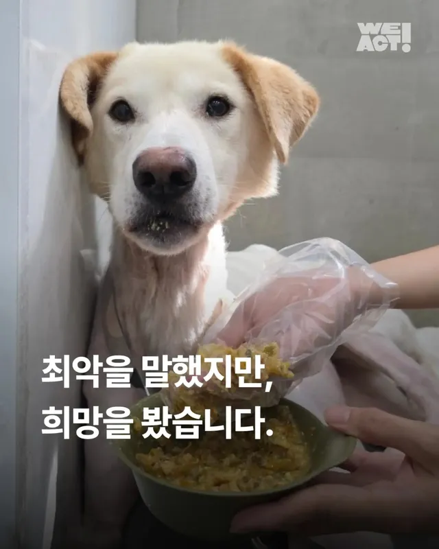 최악을 말했지만 희망을 보았습니다