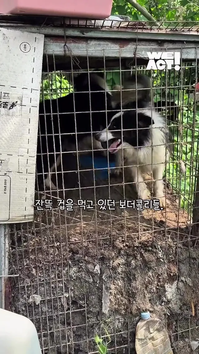 이제는 사람이 무섭지 않아요