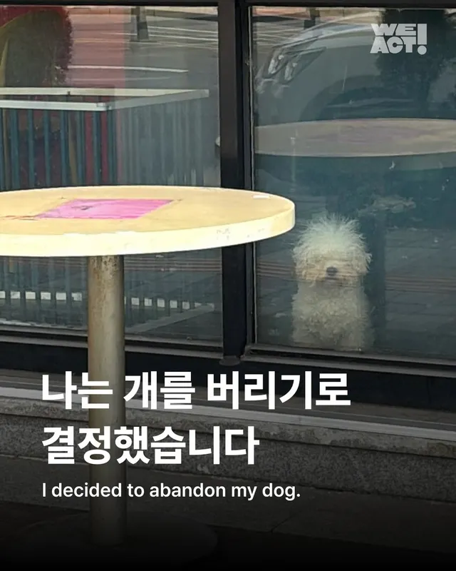 나는 개를 버리기로 결심했다