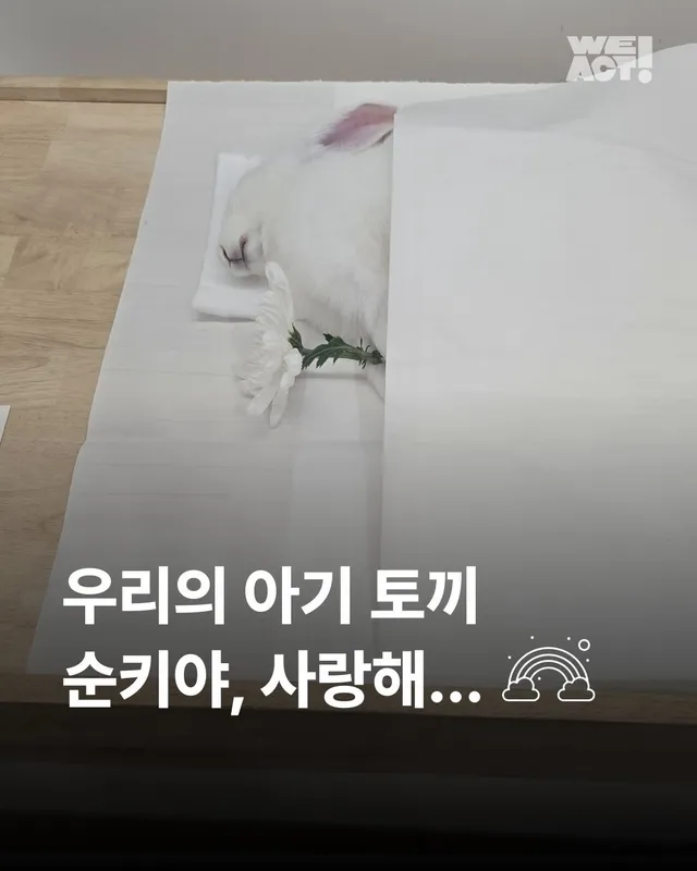 순키 장례식