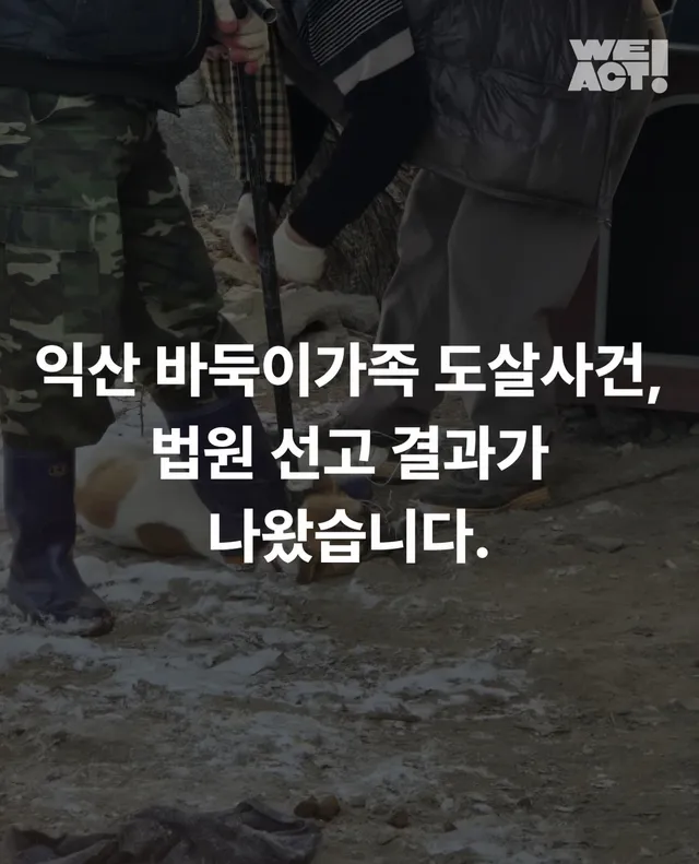 익산 바둑이가족 도살사건, 법원 선고 결과가 나왔습니다.