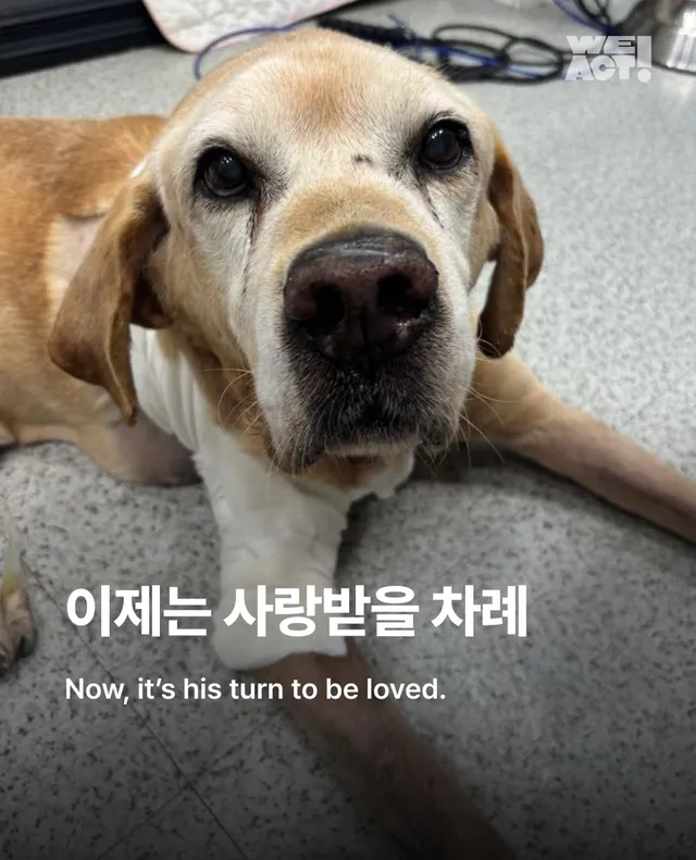 이제는 사랑 받을 차례
