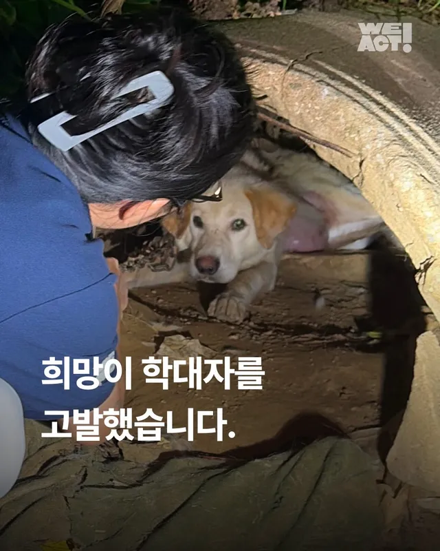 희망이 학대자를 고발했습니다