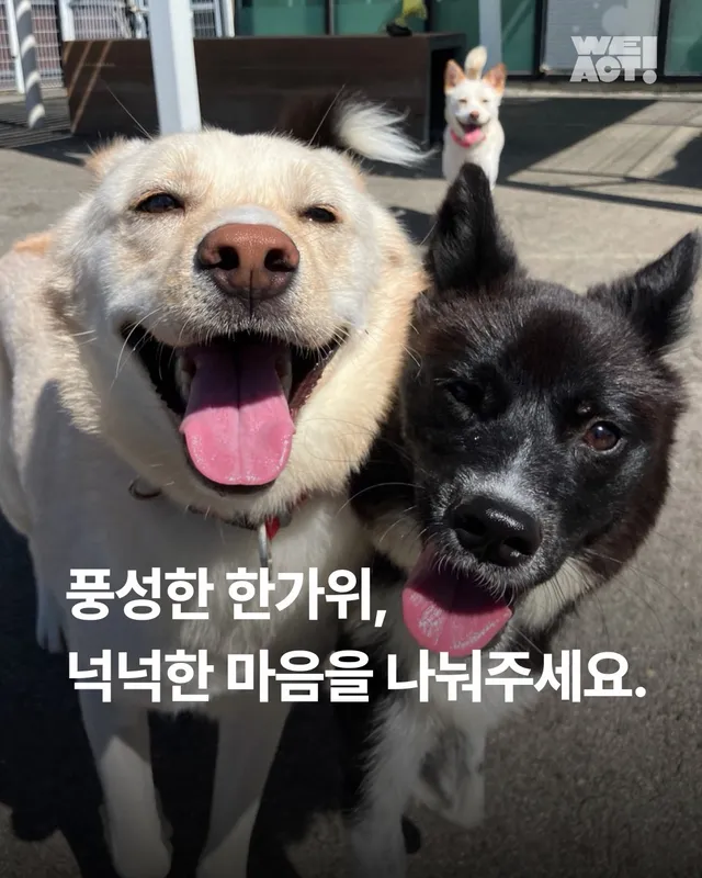 풍성한 한가위, 넉넉한 마음을 나눠주세요