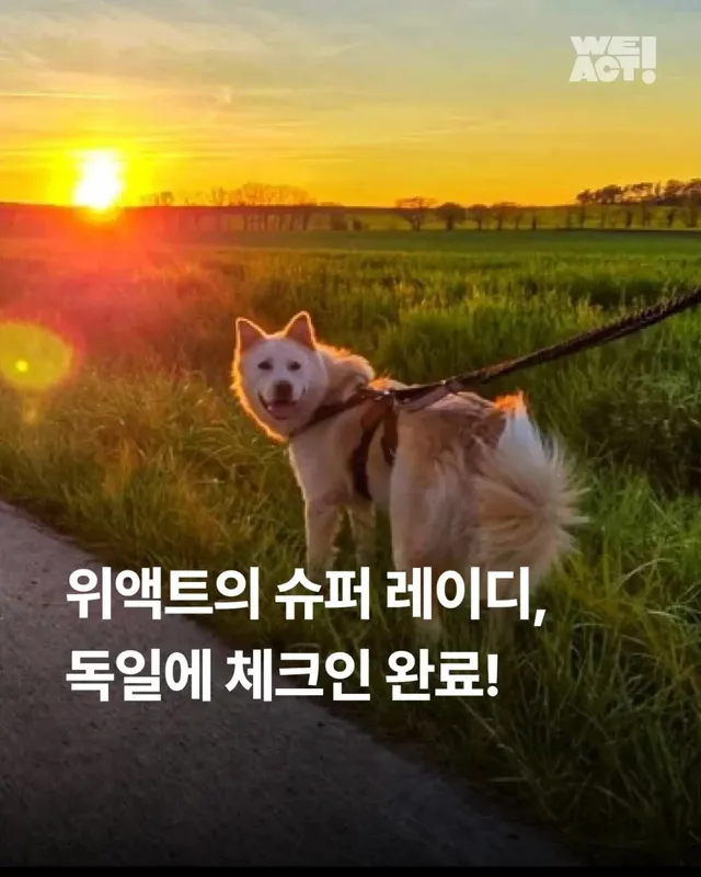 위액트의 슈퍼 레에디, 독일에서 체크인 완료